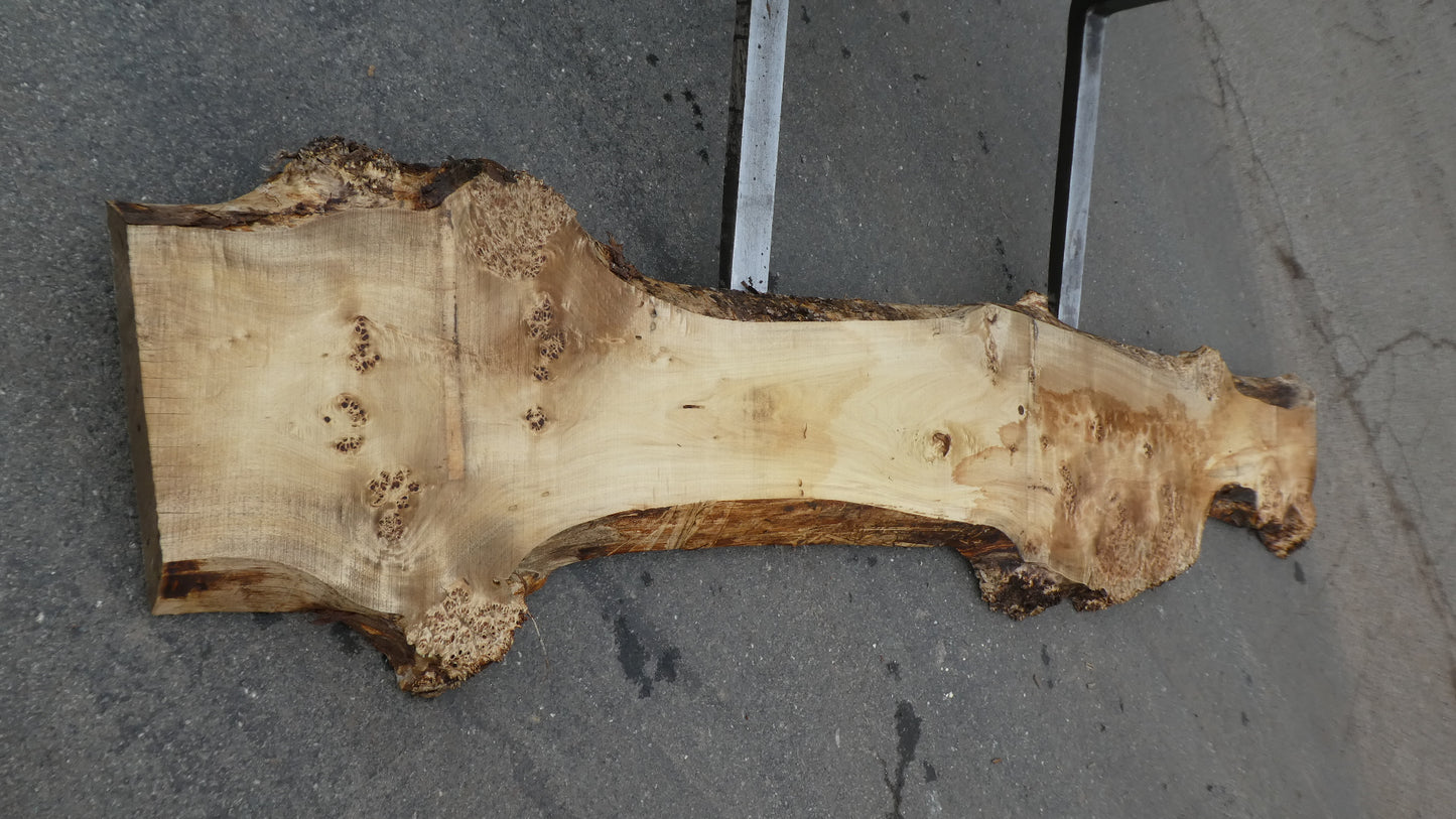 Unbehandelte Tischplatten aus Pappel | Plattennummer S-00111 Pappel