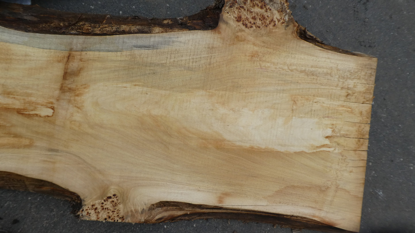 Unbehandelte Tischplatten aus Pappel | Plattennummer S-00114 Pappel