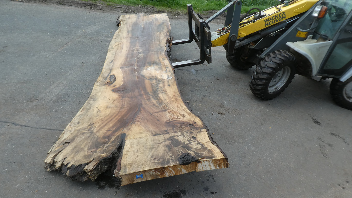 Unbehandelte Tischplatten nach Maß aus Laubholz Kastanie | Plattennummer B-00458