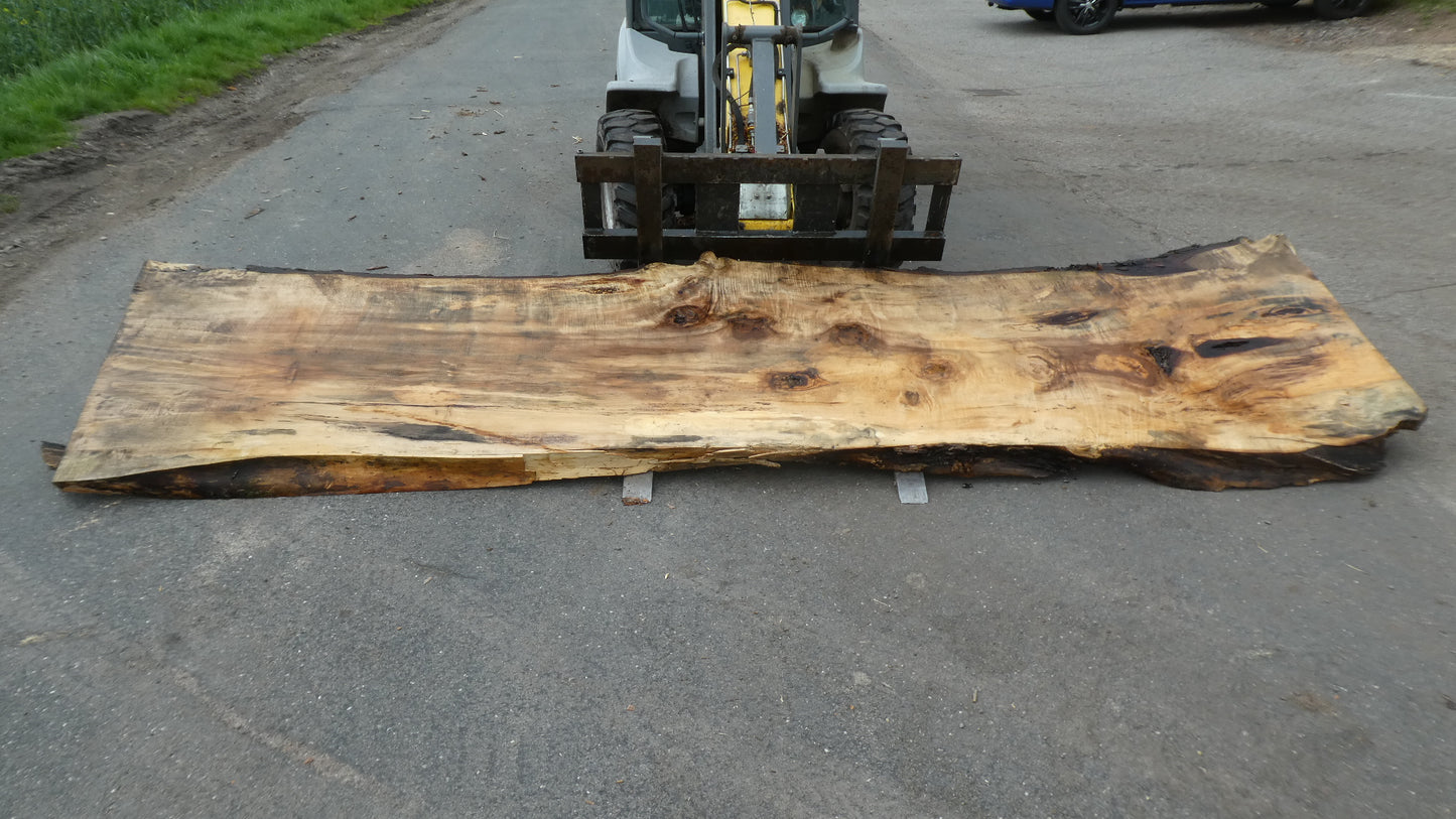 Unbehandelte Tischplatten nach Maß aus Laubholz Kastanie | Plattennummer B-00459