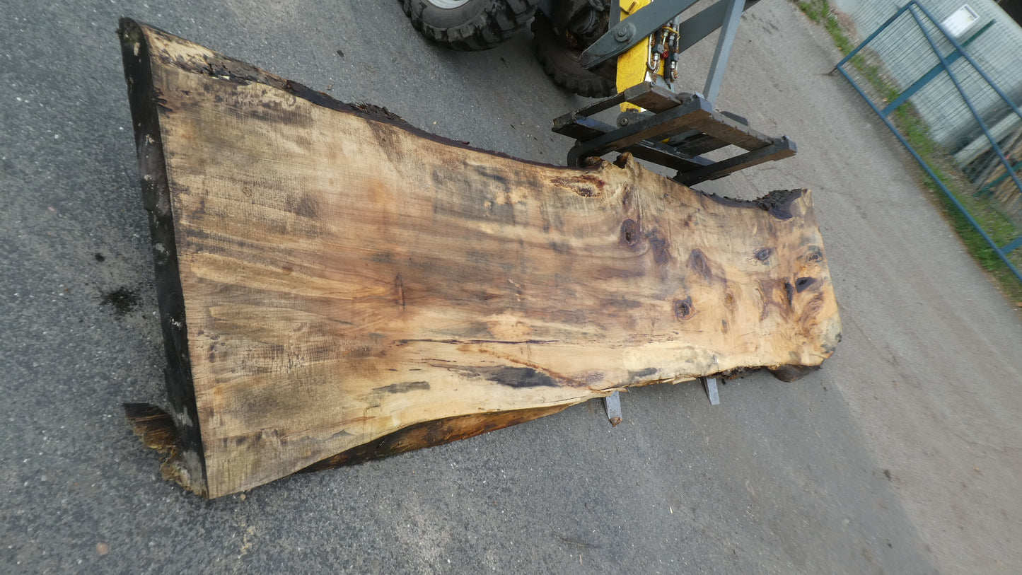 Unbehandelte Tischplatten nach Maß aus Laubholz Kastanie | Plattennummer B-00459