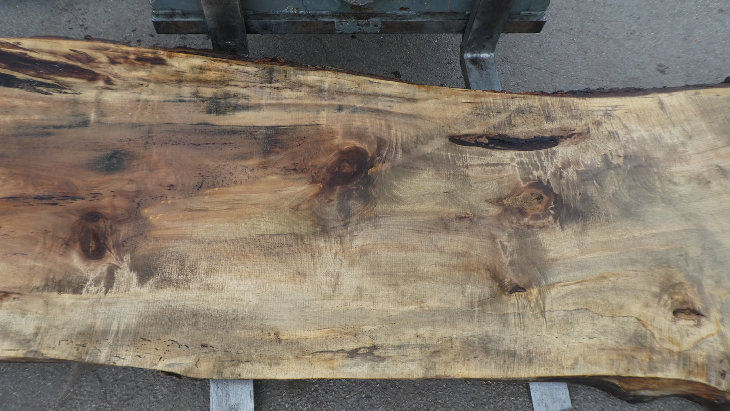 Unbehandelte Tischplatten nach Maß aus Laubholz Kastanie | Plattennummer B-00460