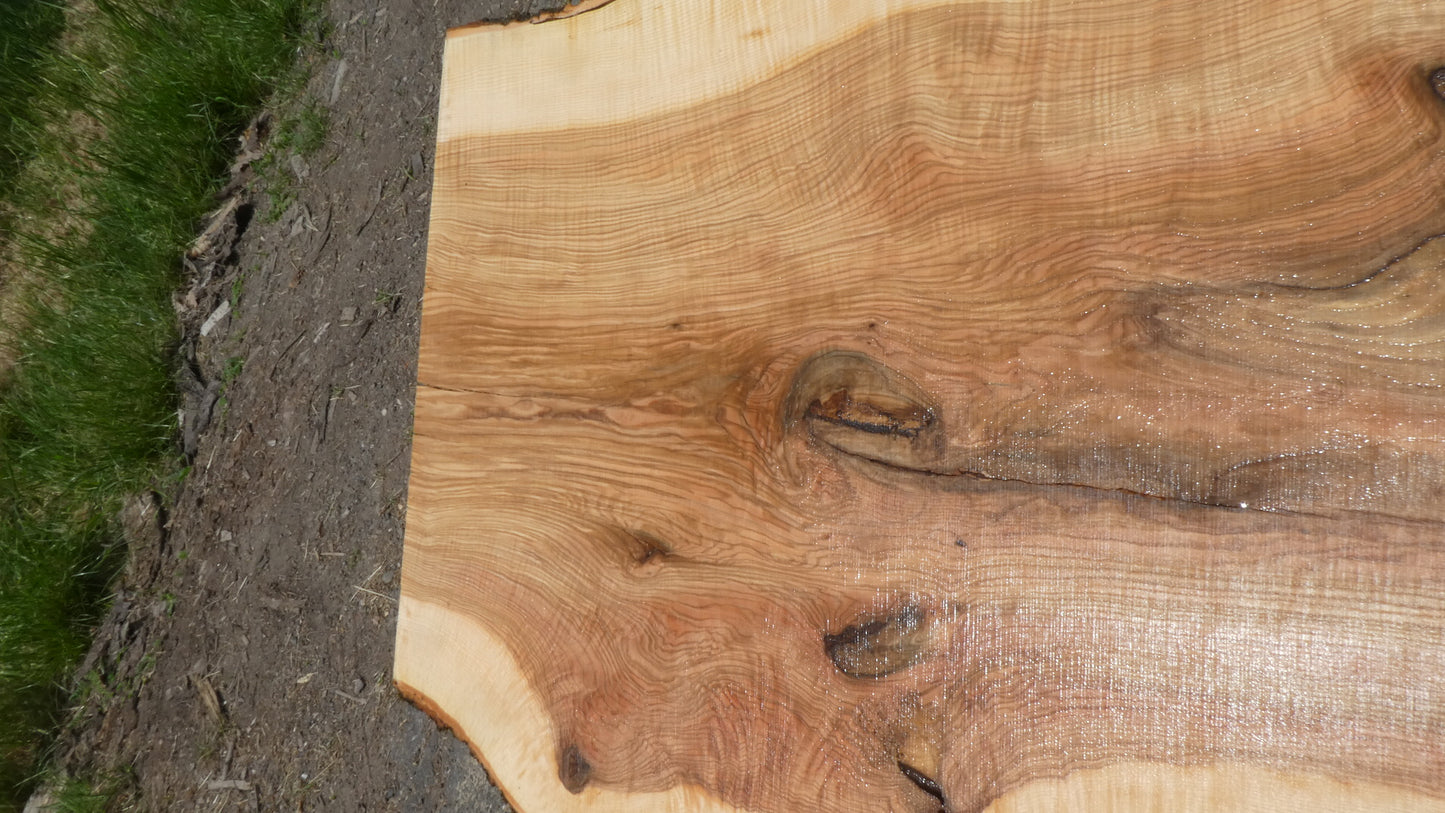 Unbehandelte Tischplatte nach Maß aus Esche | Plattennummer R-00297