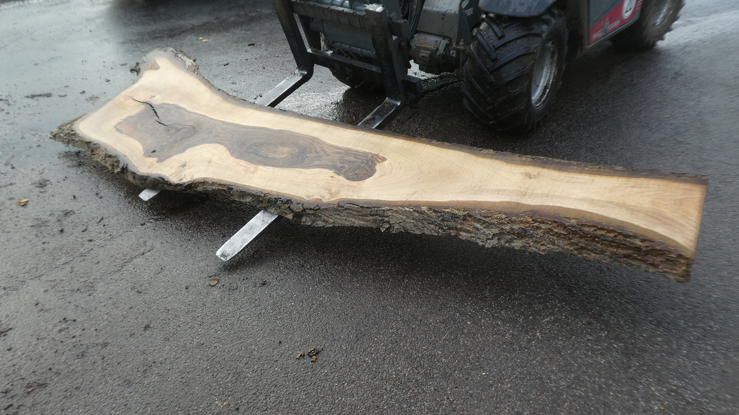 Unbehandelte Tischplatten nach Maß aus Laubholz Nuss / Nussbaum | Plattennummer B-00505
