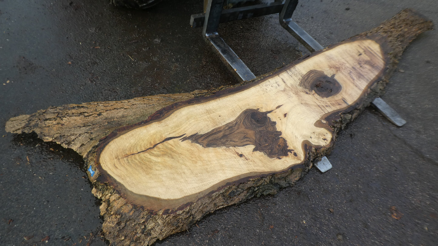 Unbehandelte Tischplatten nach Maß aus Laubholz Nuss / Nussbaum | Plattennummer B-00506
