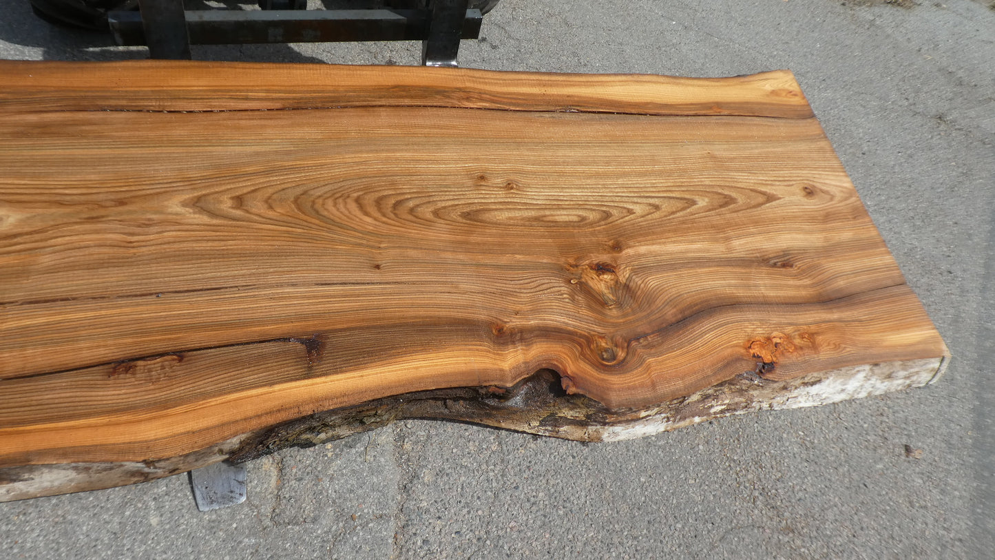 Unbehandelte Tischplatten nach Maß aus Laubholz Ulme | Plattennummer B-00509