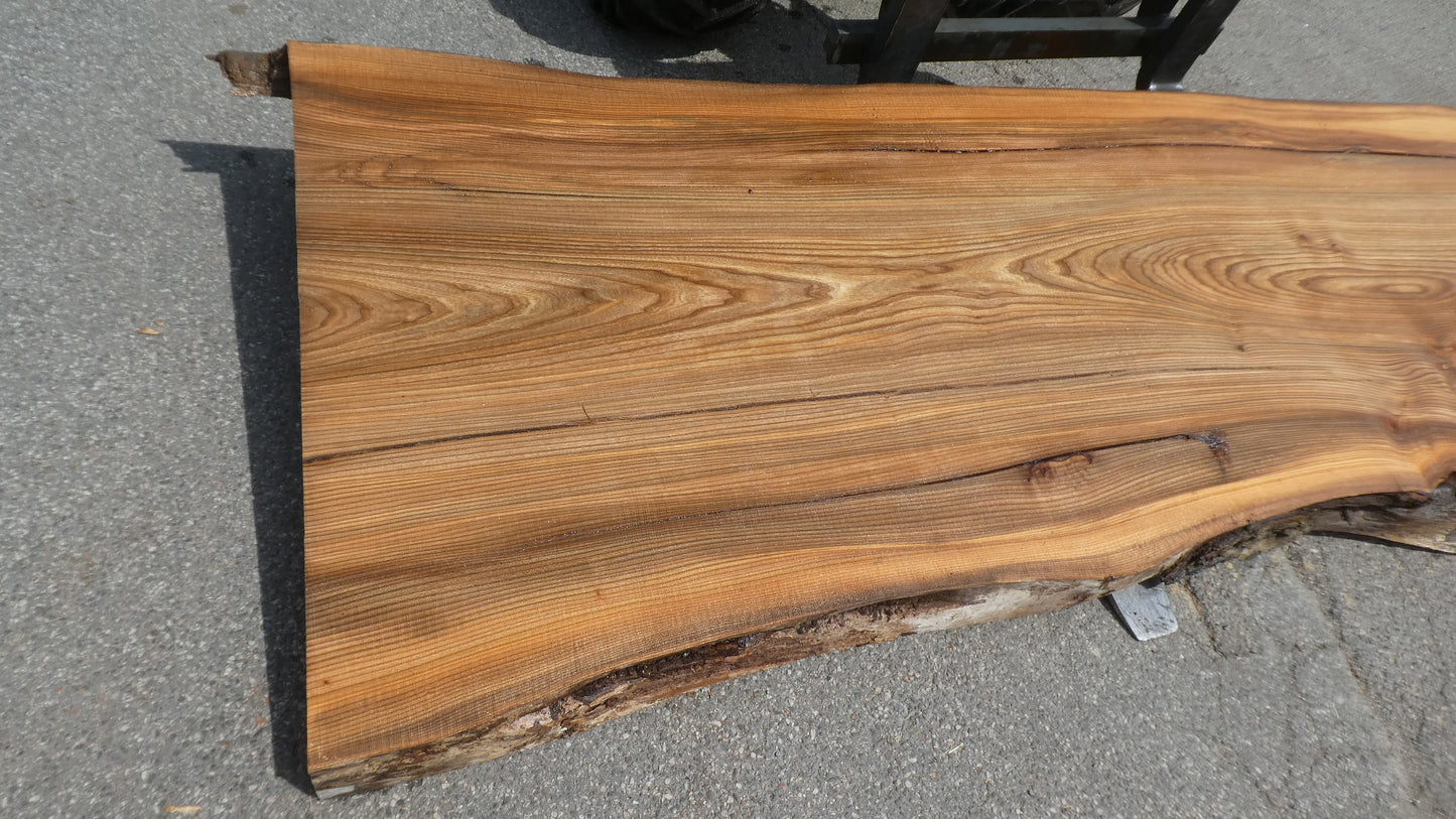 Unbehandelte Tischplatten nach Maß aus Laubholz Ulme | Plattennummer B-00509