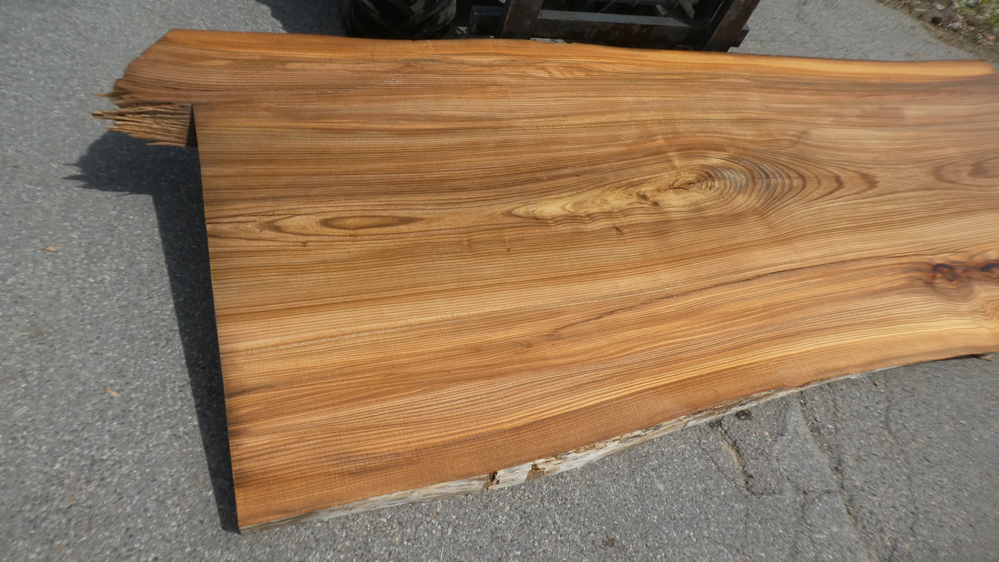Unbehandelte Tischplatten nach Maß aus Laubholz Ulme | Plattennummer B-00511