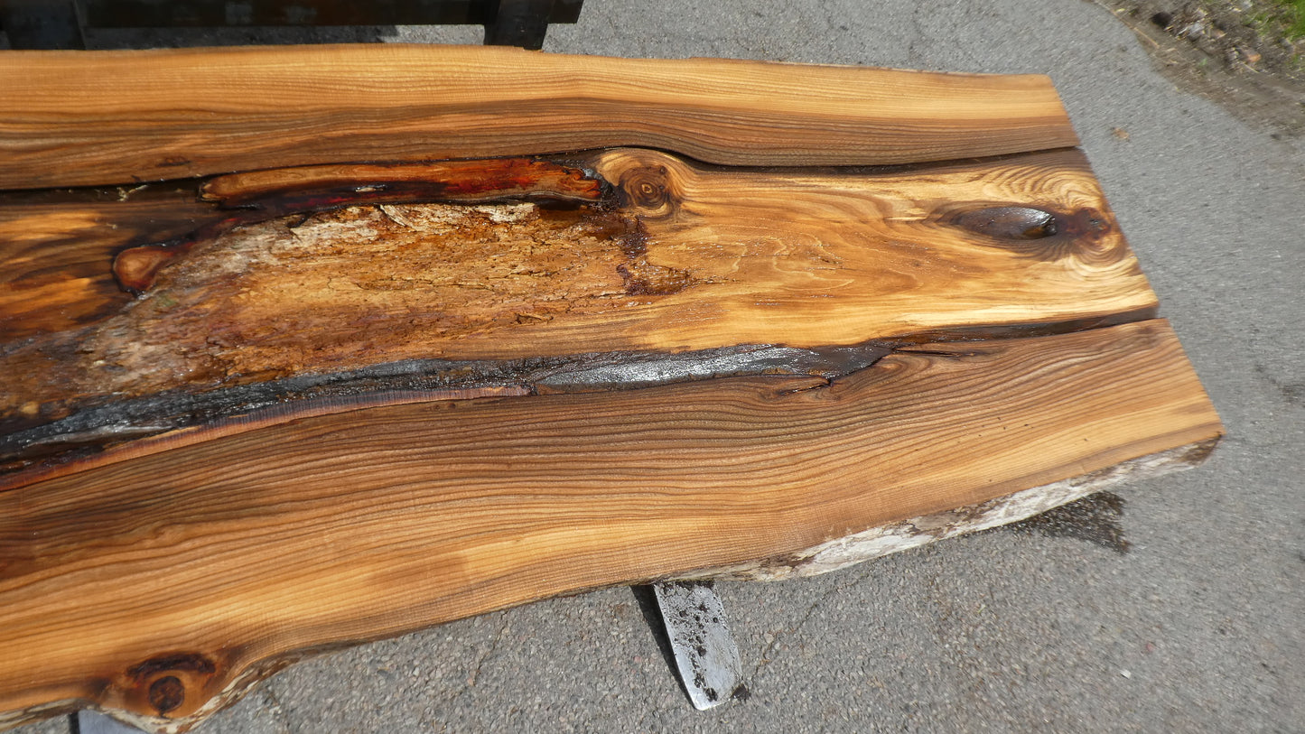 Unbehandelte Tischplatten nach Maß aus Laubholz Ulme | Plattennummer B-00515