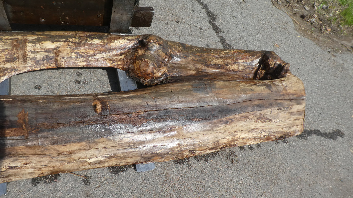 Unbehandelte Tischplatten nach Maß aus Laubholz Ulme | Plattennummer B-00517