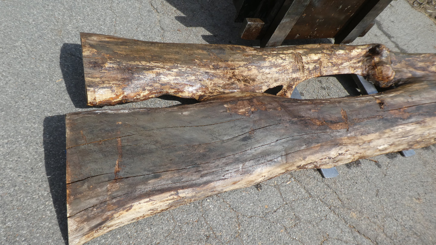 Unbehandelte Tischplatten nach Maß aus Laubholz Ulme | Plattennummer B-00517