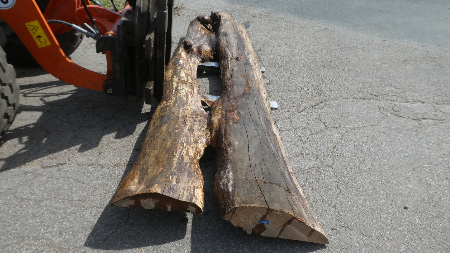 Unbehandelte Tischplatten nach Maß aus Laubholz Ulme | Plattennummer B-00517