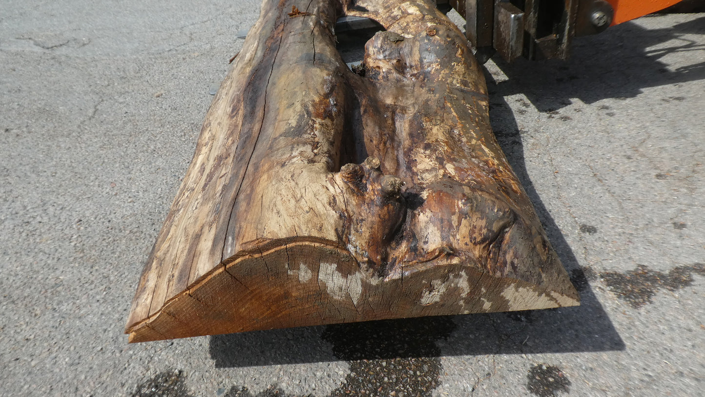 Unbehandelte Tischplatten nach Maß aus Laubholz Ulme | Plattennummer B-00517
