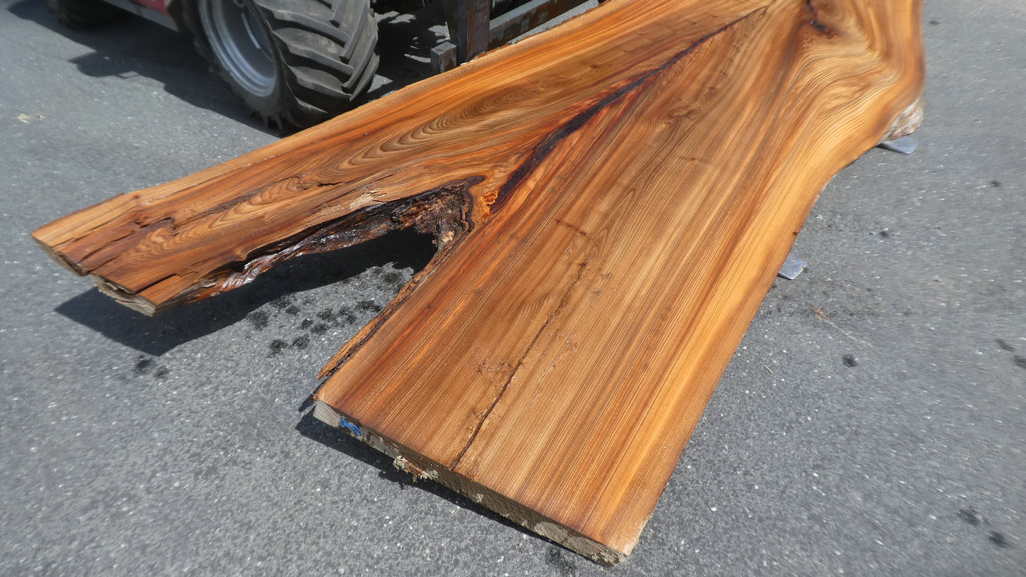 Unbehandelte Tischplatten nach Maß aus Laubholz Ulme | Plattennummer B-00518