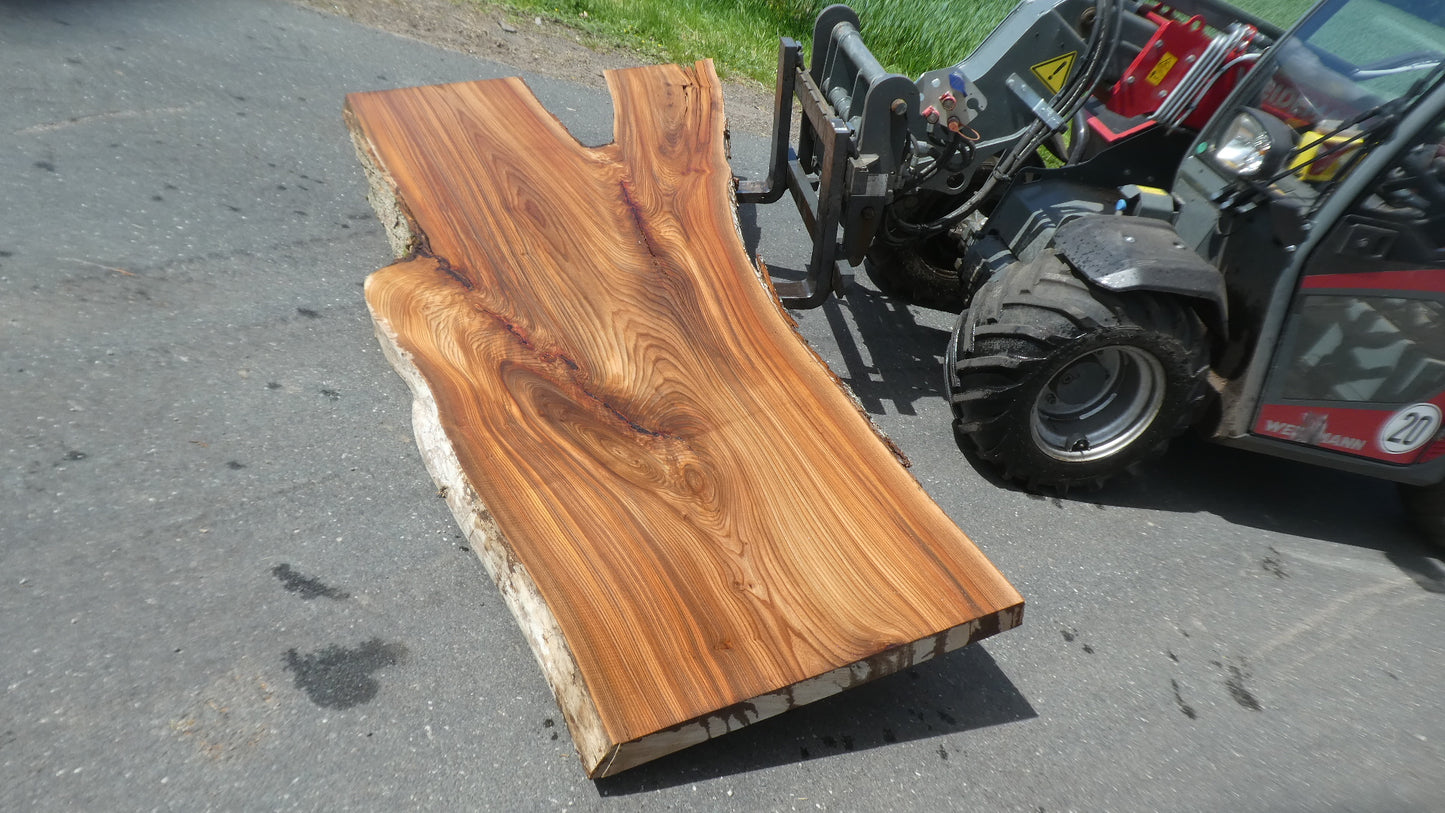 Unbehandelte Tischplatten nach Maß aus Laubholz Ulme | Plattennummer B-00519