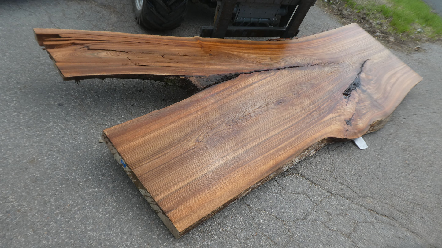 Unbehandelte Tischplatten nach Maß aus Laubholz Ulme | Plattennummer B-00520