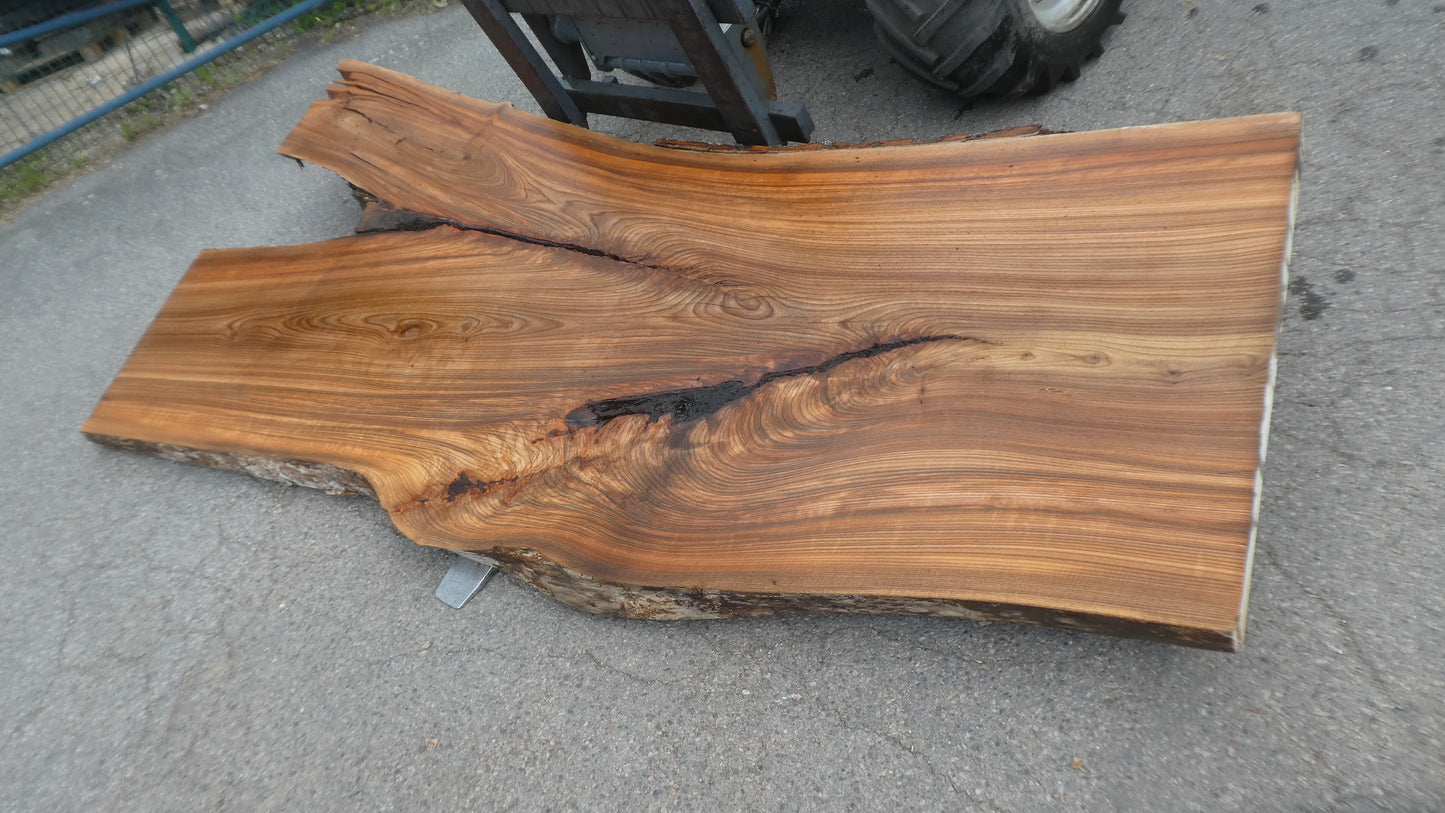 Unbehandelte Tischplatten nach Maß aus Laubholz Ulme | Plattennummer B-00520