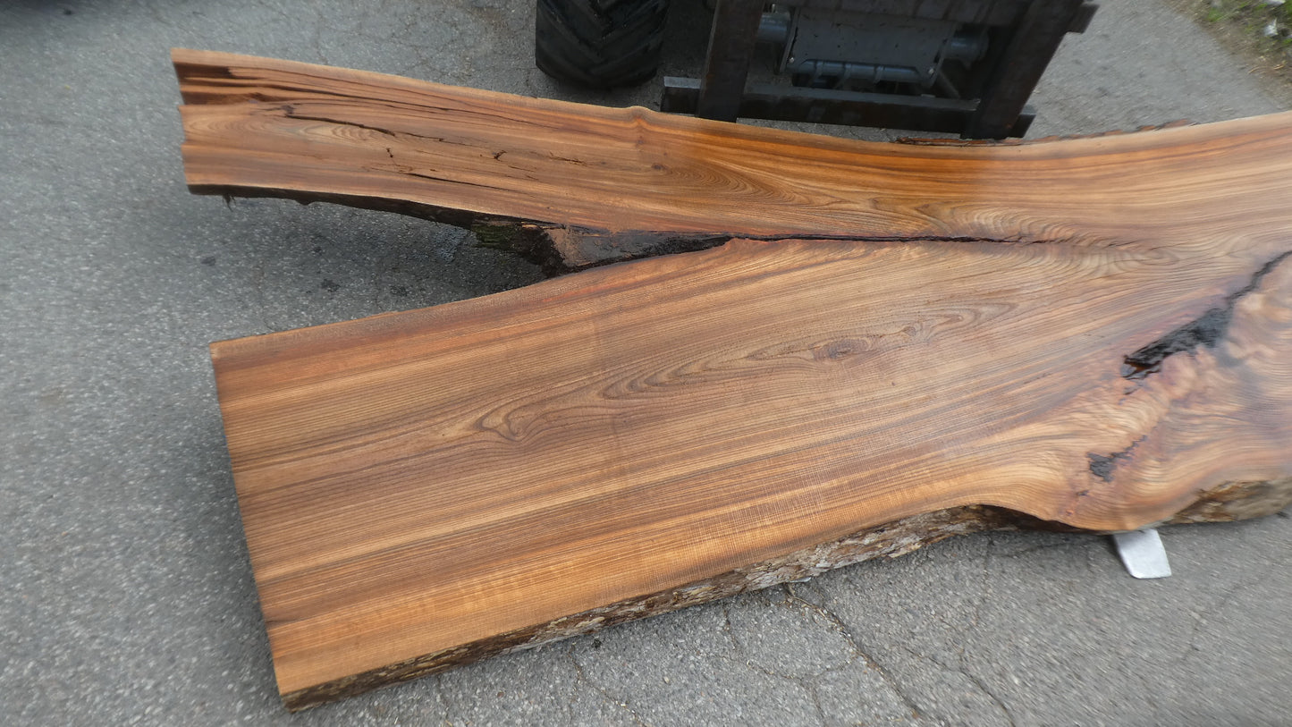 Unbehandelte Tischplatten nach Maß aus Laubholz Ulme | Plattennummer B-00520