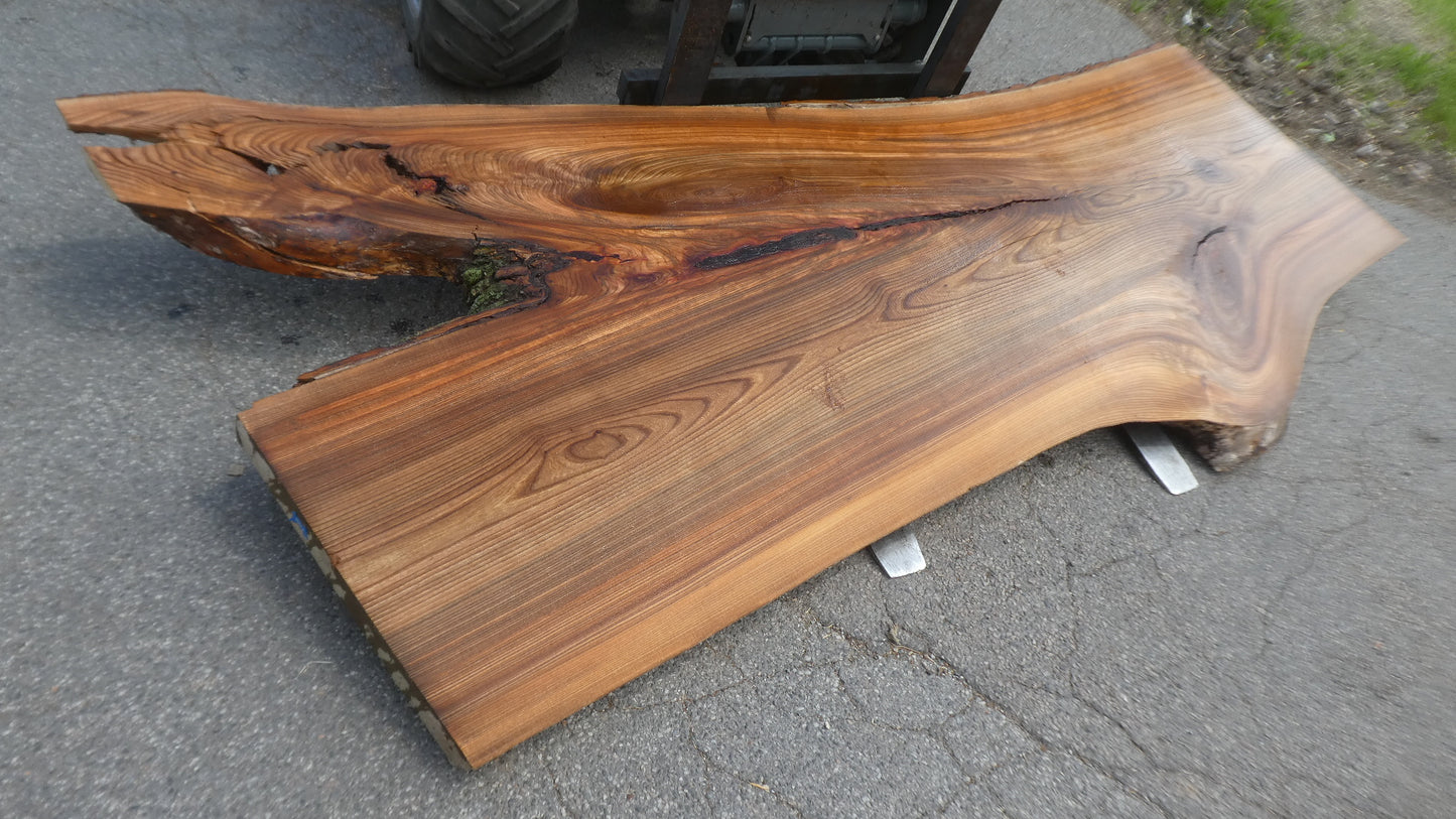 Unbehandelte Tischplatten nach Maß aus Laubholz Ulme | Plattennummer B-00522