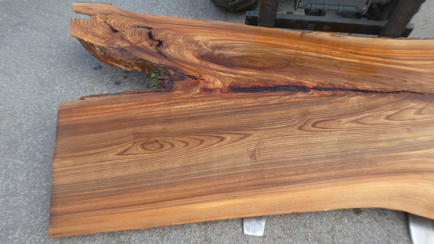 Unbehandelte Tischplatten nach Maß aus Laubholz Ulme | Plattennummer B-00522