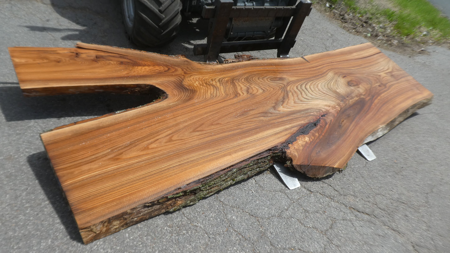 Unbehandelte Tischplatten nach Maß aus Laubholz Ulme | Plattennummer B-00523