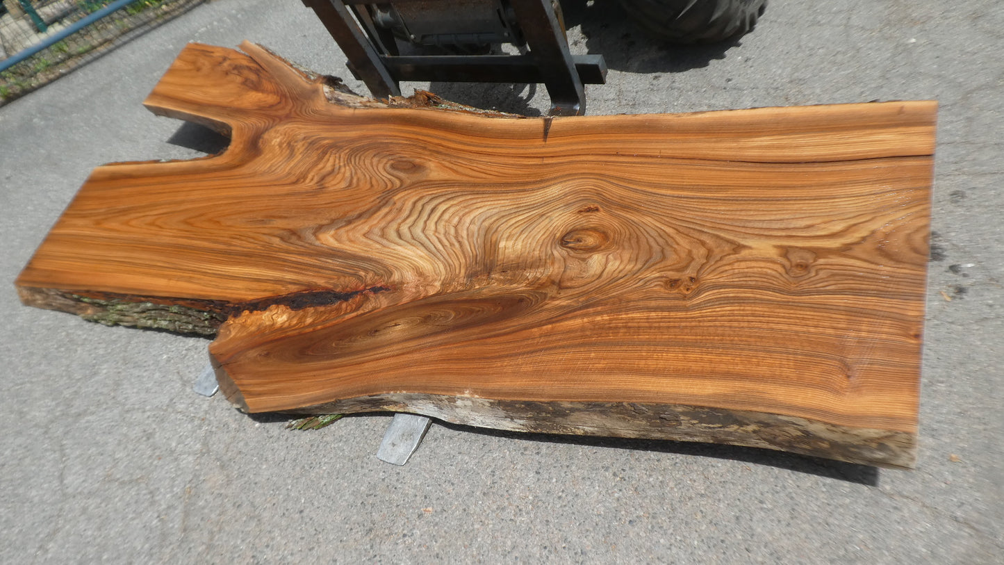Unbehandelte Tischplatten nach Maß aus Laubholz Ulme | Plattennummer B-00523