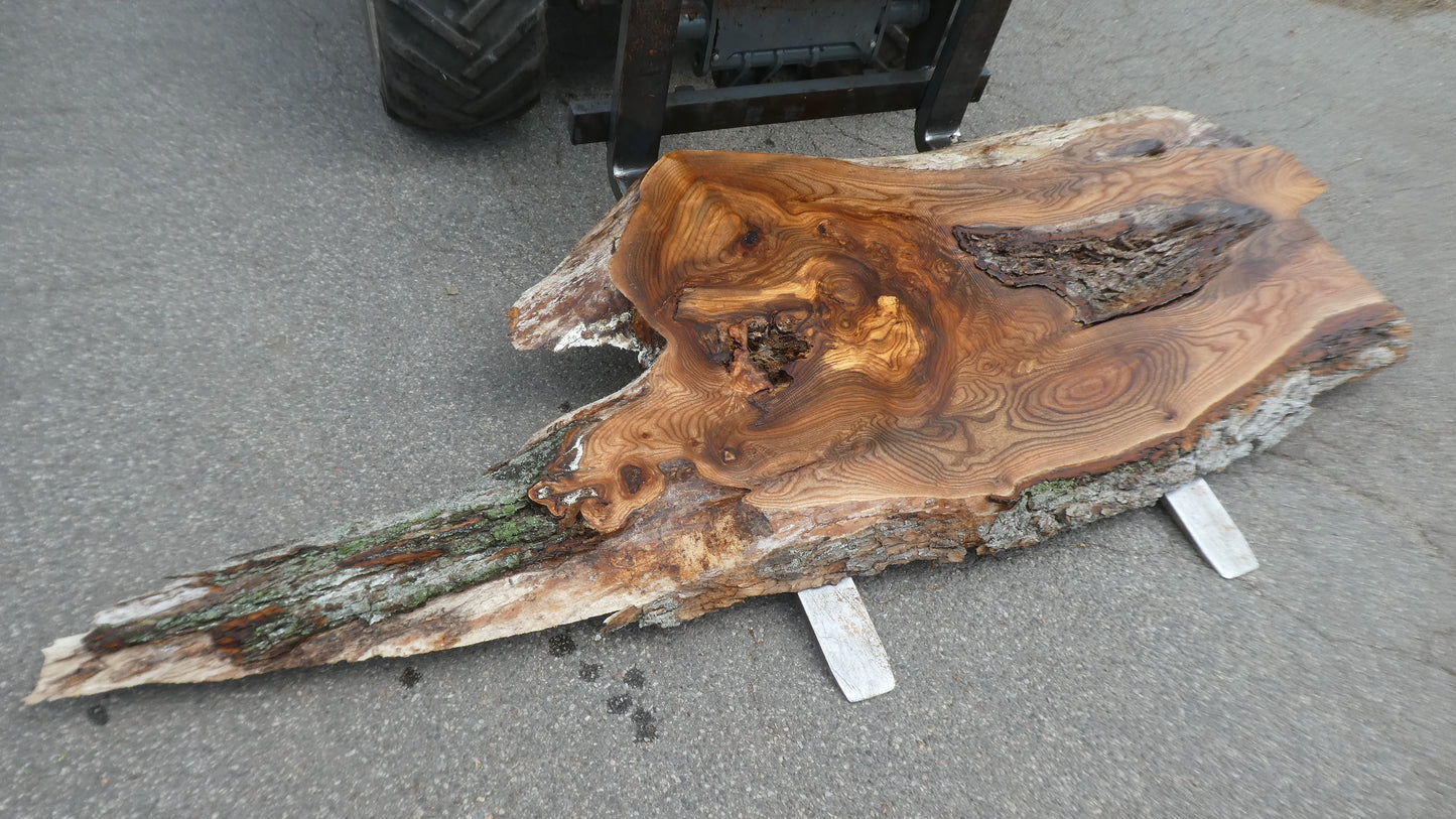 Unbehandelte Tischplatten nach Maß aus Laubholz Ulme | Plattennummer B-00527
