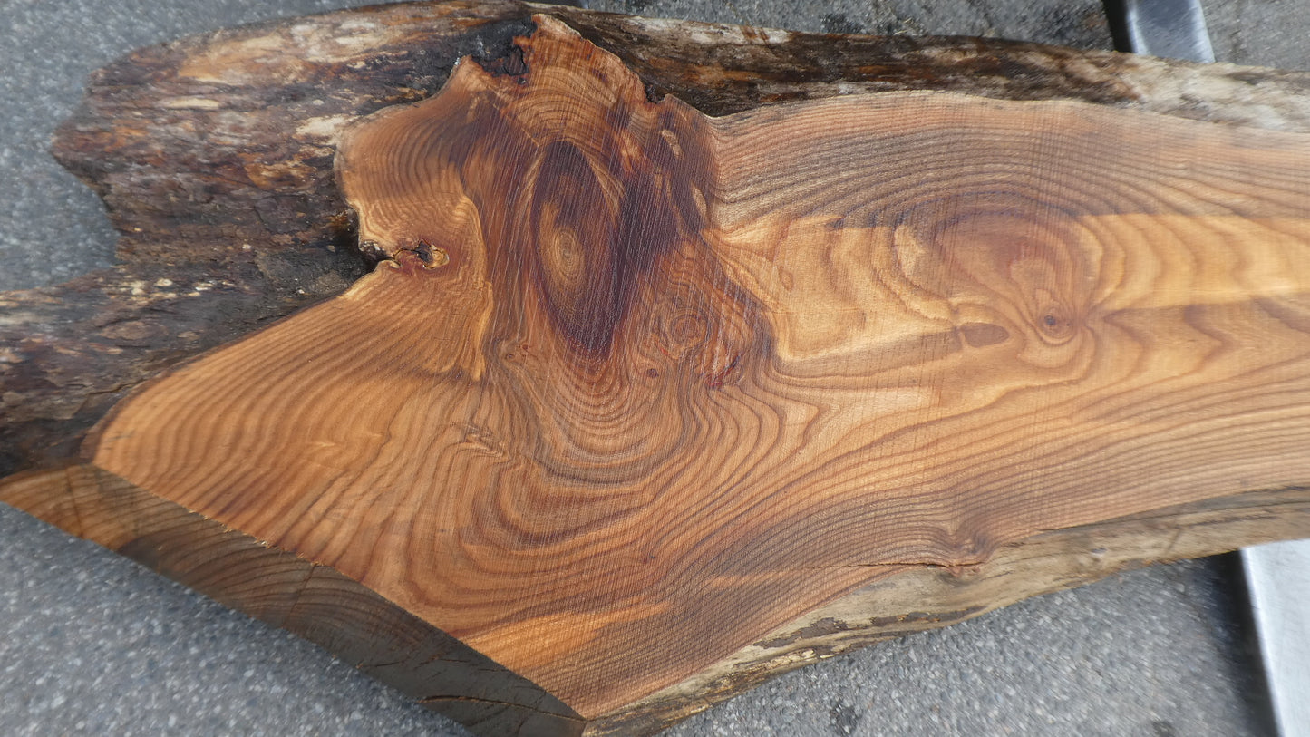Unbehandelte Tischplatten nach Maß aus Laubholz Ulme | Plattennummer B-00528