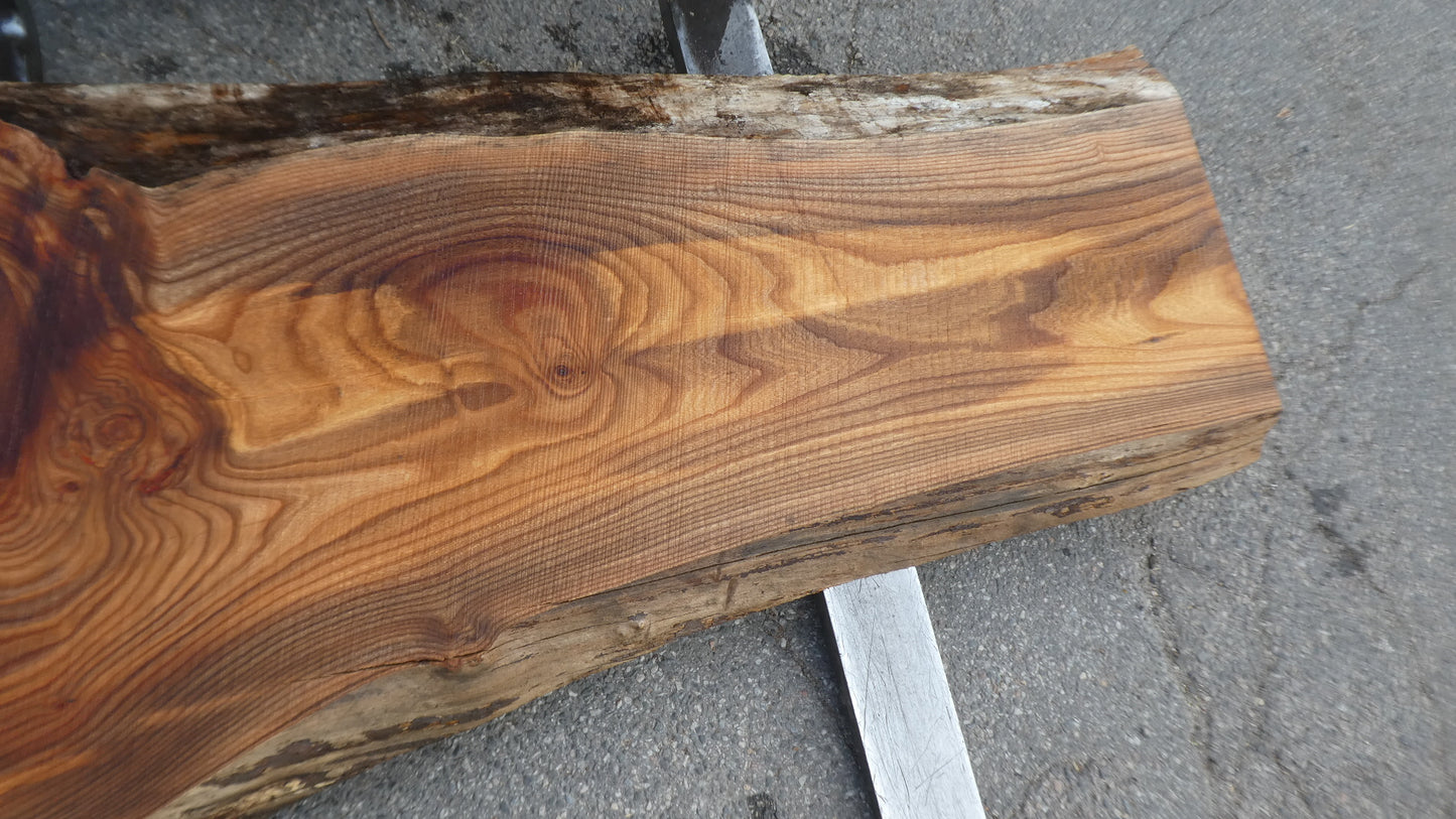 Unbehandelte Tischplatten nach Maß aus Laubholz Ulme | Plattennummer B-00528