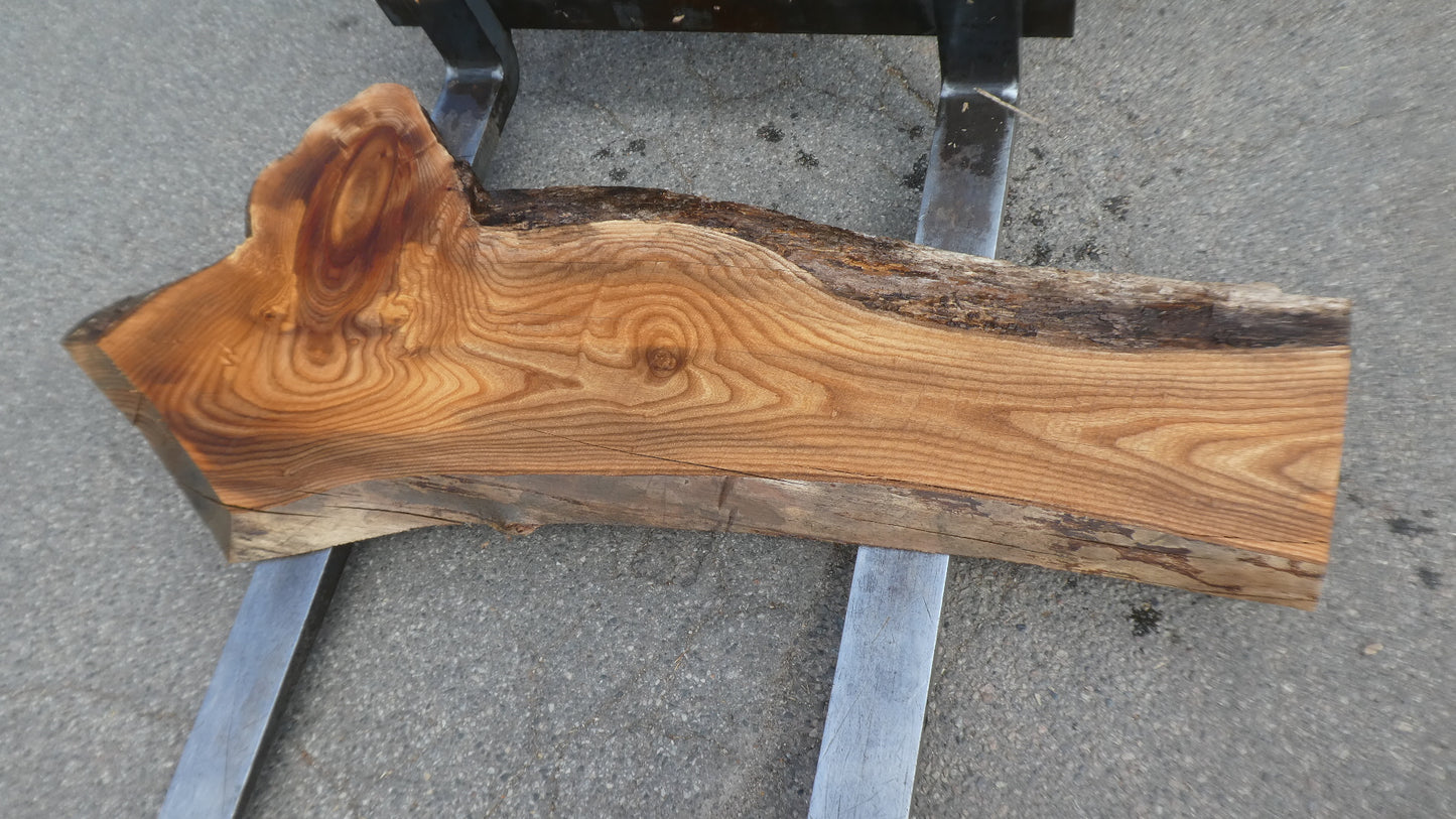 Unbehandelte Tischplatten nach Maß aus Laubholz Ulme | Plattennummer B-00529