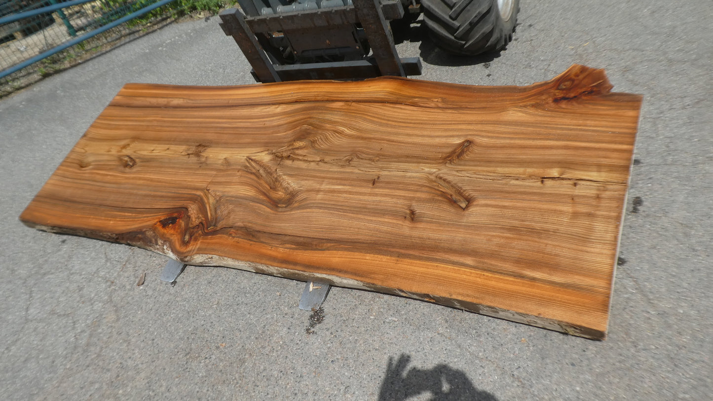 Unbehandelte Tischplatten nach Maß aus Laubholz Ulme | Plattennummer B-00531