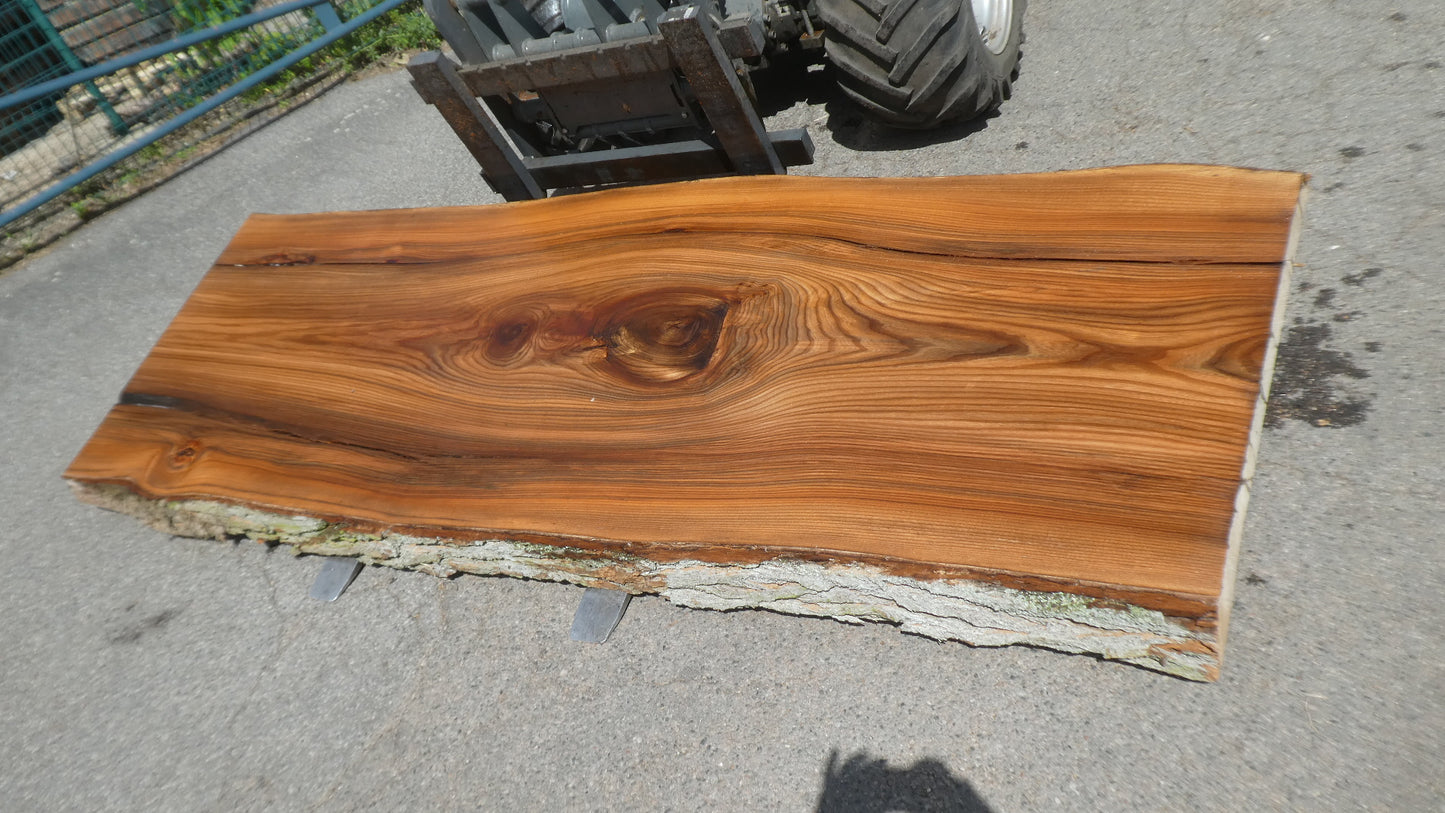 Unbehandelte Tischplatten nach Maß aus Laubholz Ulme | Plattennummer B-00534