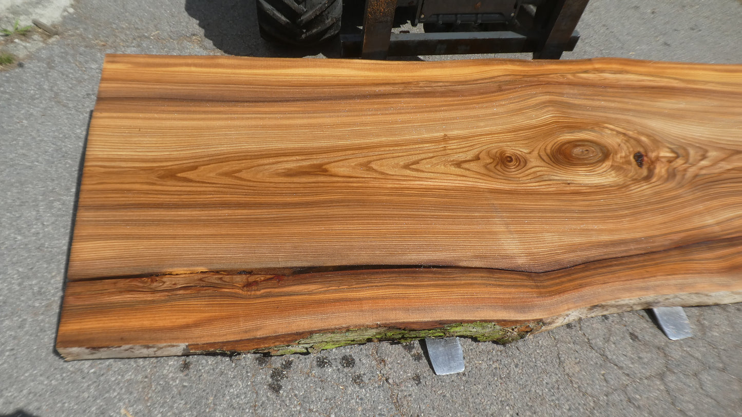 Unbehandelte Tischplatten nach Maß aus Laubholz Ulme | Plattennummer B-00535