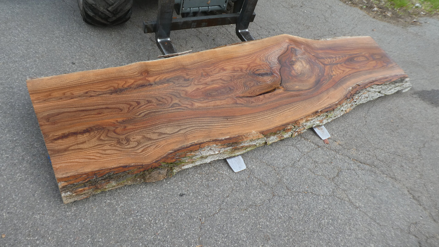 Unbehandelte Tischplatten nach Maß aus Laubholz Ulme | Plattennummer B-00538