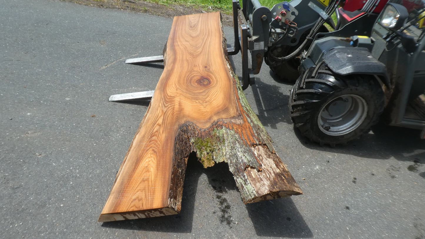 Unbehandelte Tischplatten nach Maß aus Laubholz Ulme | Plattennummer B-00546