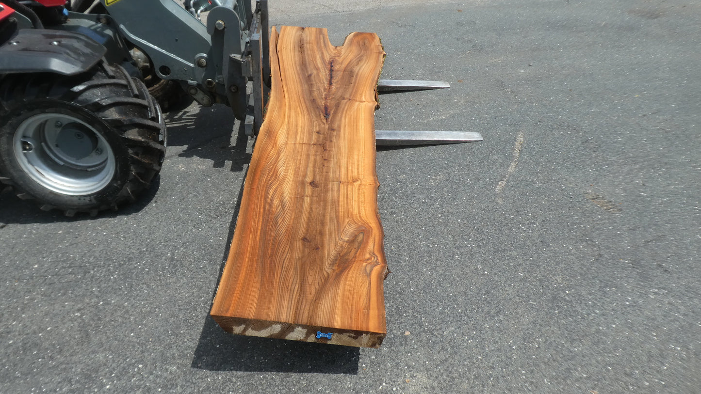 Unbehandelte Tischplatten nach Maß aus Laubholz Ulme | Plattennummer B-00548