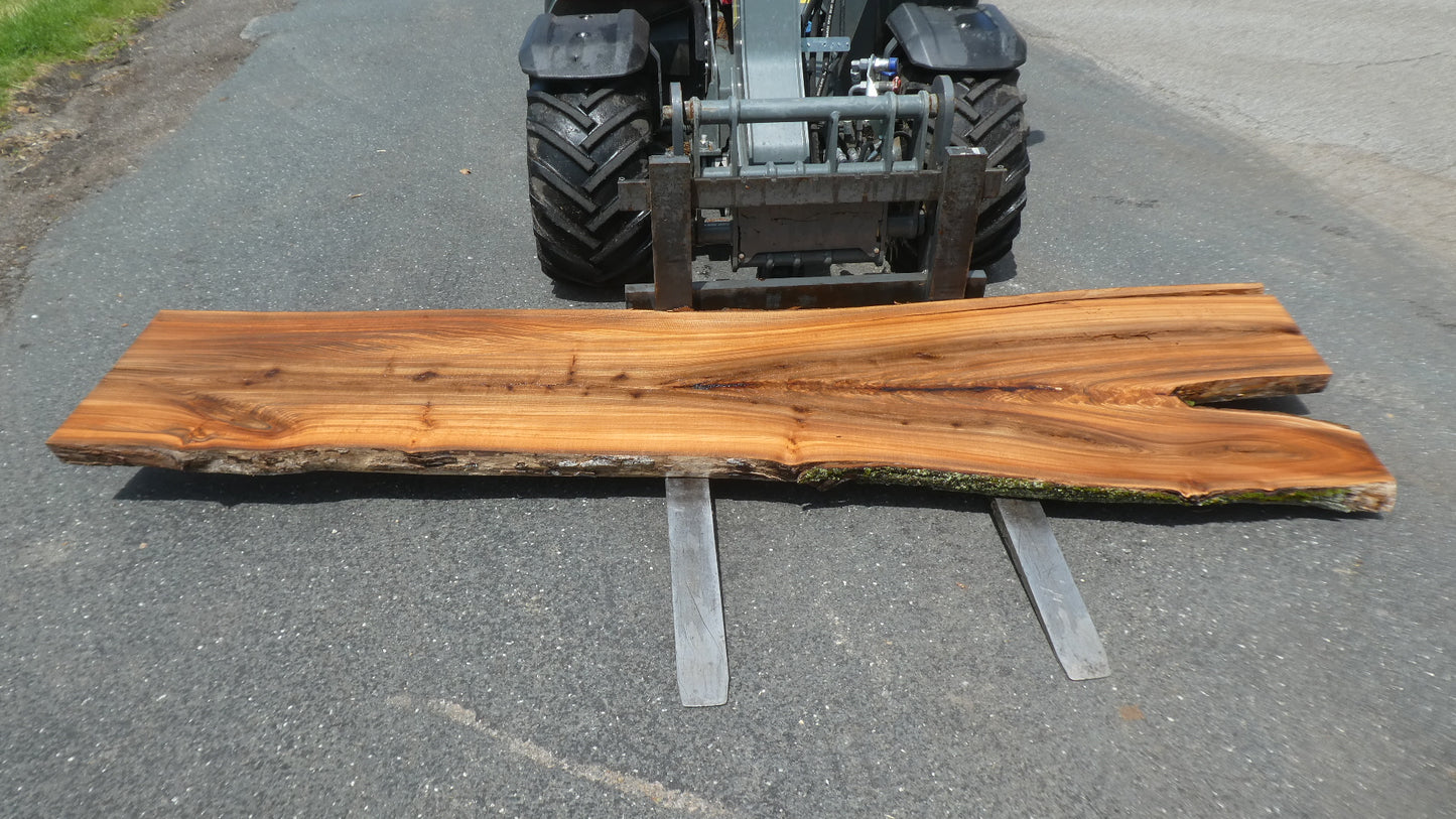 Unbehandelte Tischplatten nach Maß aus Laubholz Ulme | Plattennummer B-00548