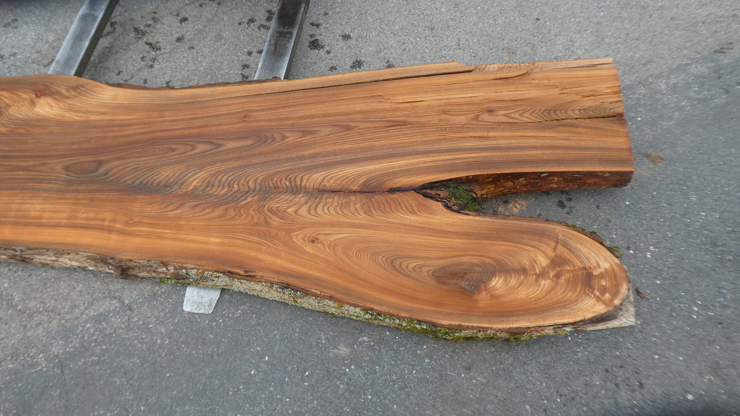Unbehandelte Tischplatten nach Maß aus Laubholz Ulme | Plattennummer B-00550