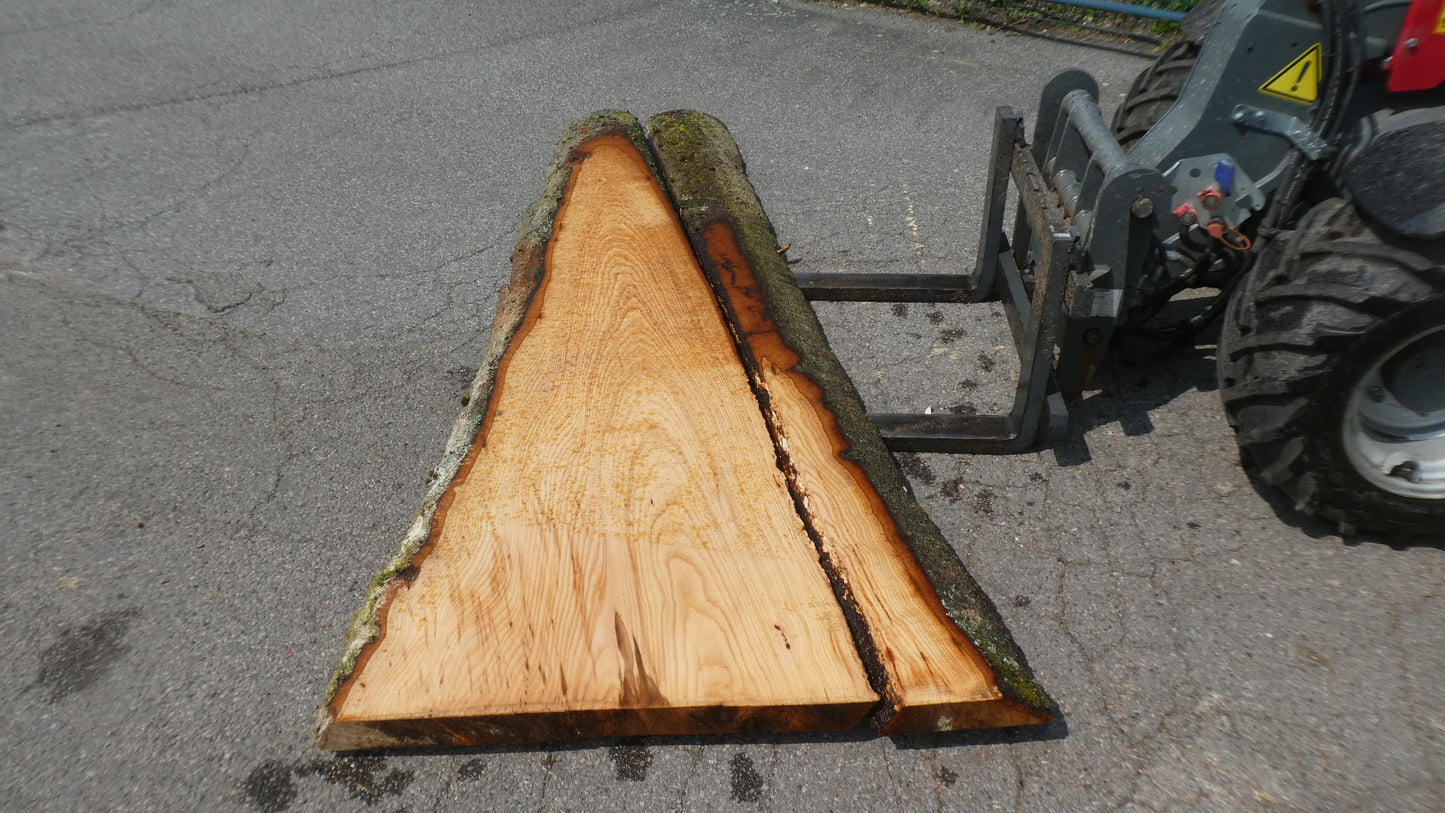 Unbehandelte Tischplatten nach Maß aus Buche | Plattennummer O-00350