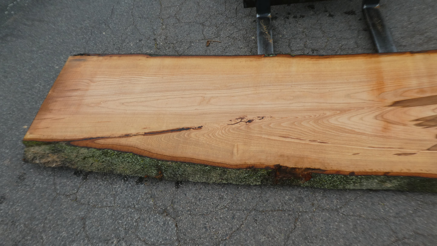 Unbehandelte Tischplatten nach Maß aus Buche | Plattennummer O-00359