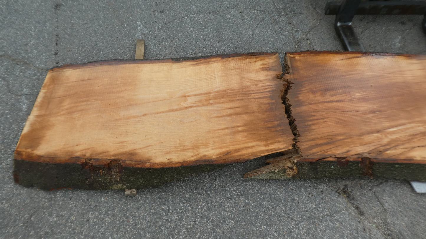 Unbehandelte Tischplatten nach Maß aus Buche | Plattennummer O-00372