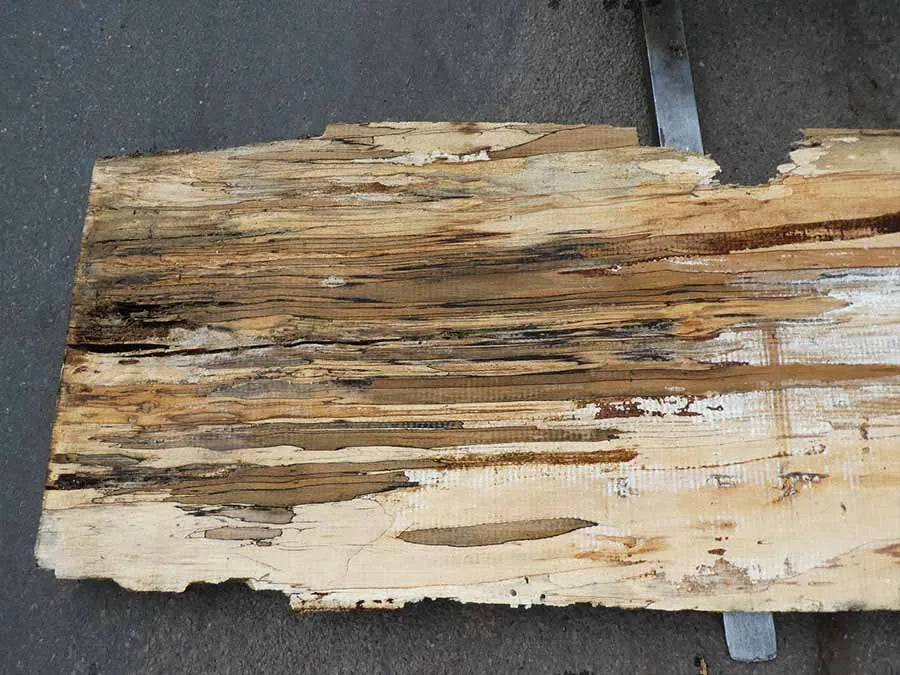 Unbehandelte Tischplatten nach Maß aus Buche | Plattennummer O-00268