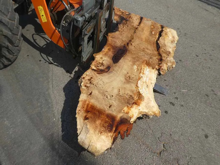 Unbehandelte Tischplatten aus Pappel | S-00125 Pappel