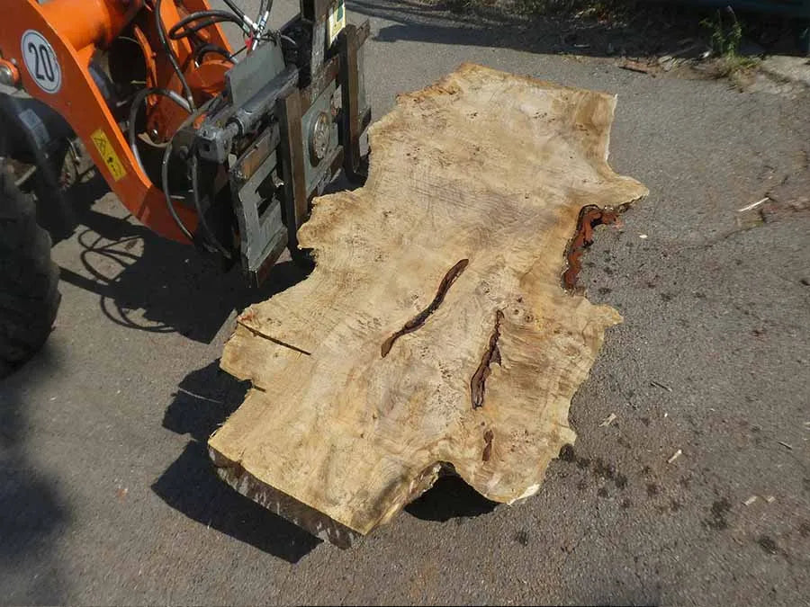 Unbehandelte Tischplatten aus Pappel | S-00126 Pappel