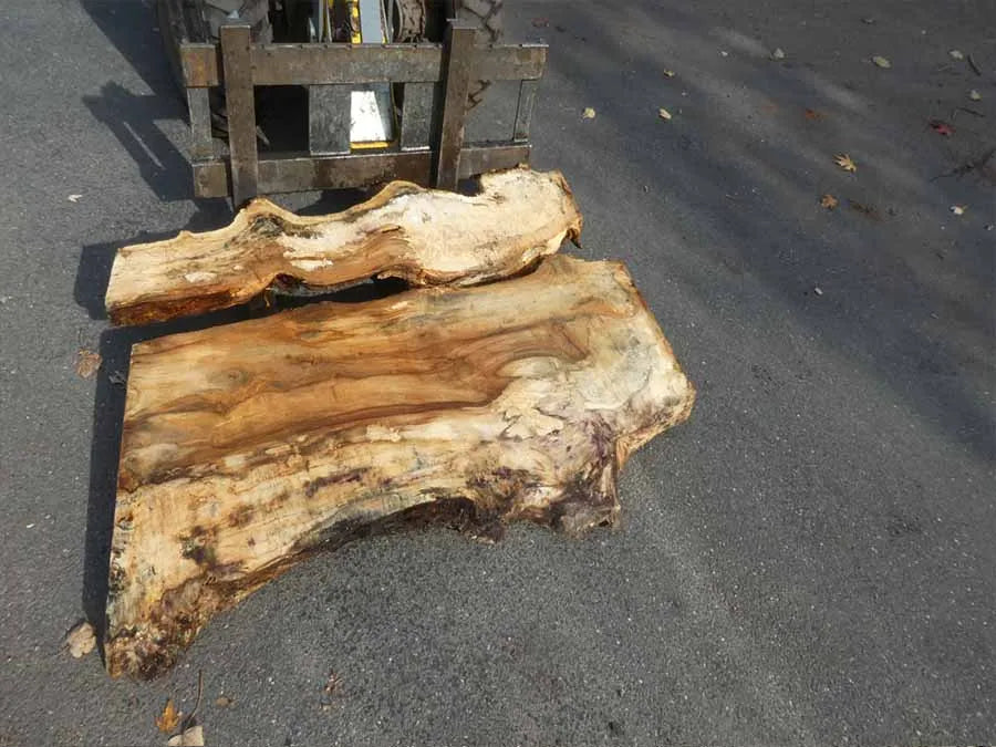 Unbehandelte Tischplatten aus Pappel | S-00128 Pappel