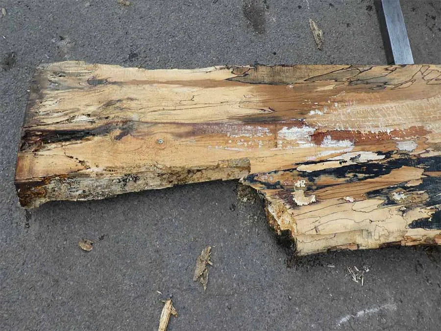Unbehandelte Tischplatten nach Maß aus Buche | Plattennummer O-00271