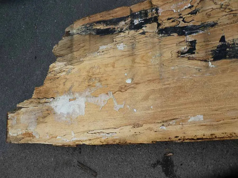 Unbehandelte Tischplatten nach Maß aus Buche | Plattennummer  O-00260