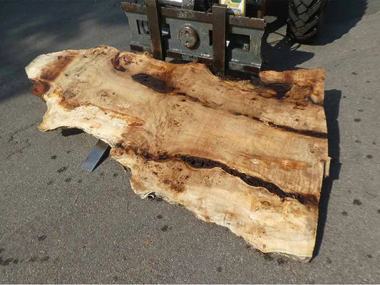 Unbehandelte Tischplatten aus Pappel | S-00125 Pappel