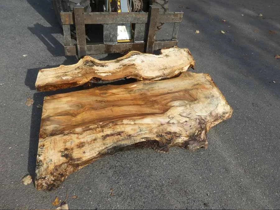 Unbehandelte Tischplatten aus Pappel | S-00128 Pappel