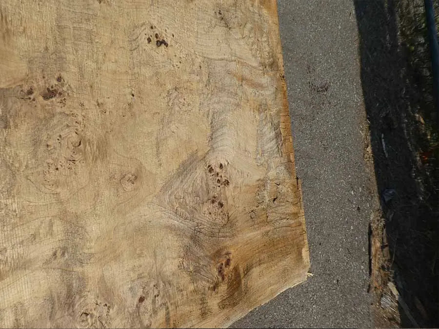 Unbehandelte Tischplatten aus Pappel | S-00126 Pappel